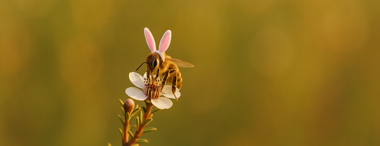 Happy Easter from Manuka Hut (Business Hours Schedule Inside)